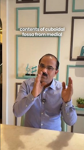Cubital Fossa: Contents, Boundaries, and Anatomical Structures