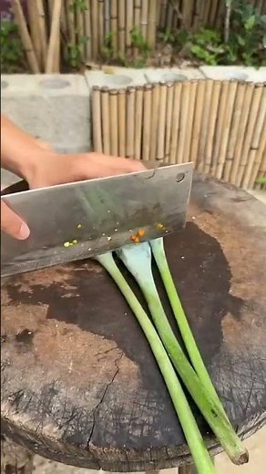 TL 71002001 mini rotary tillage and ridging all-in ten #cuttingmaster #food #cuttingskills tree 🌴