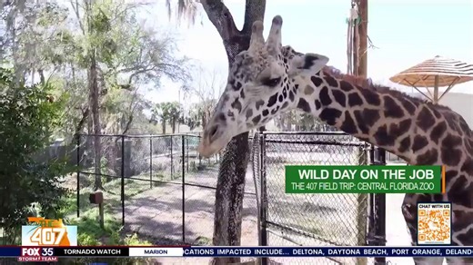 The 407 field trip: Central Florida Zoo unlocked