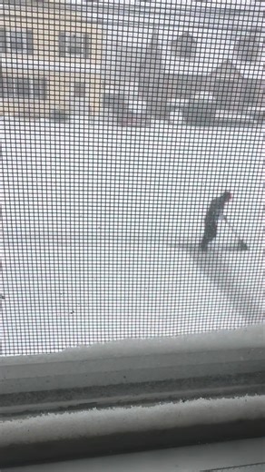 Krissy Prissy on Instagram: "Do you want to know why I chose this man because this man chooses me every day no matter what he’s a protector provider a partner of best friend and a hell of a good dad that’s why I choose him and I will choose him every time Twin Stone Spook #lovestory #blizzard #snowday #snow #snowfall #snowshoveling"