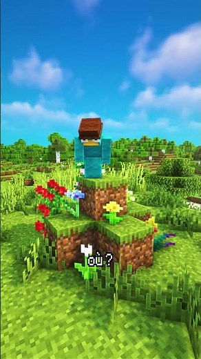 Minecraft Makes No Sense 💀! #Shorts #Minecraft #Troll