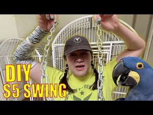 MACAW BIRD PARROT SWING AND CAGE SET UP IN TIMELAPSE EASY FAST AND CHEAP!