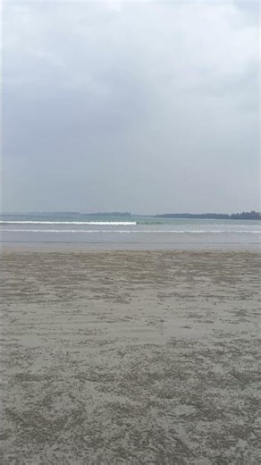 🌬️🌊 ASMR Bold Sea Breeze | Windy Evening by the Shore 🌅🎧