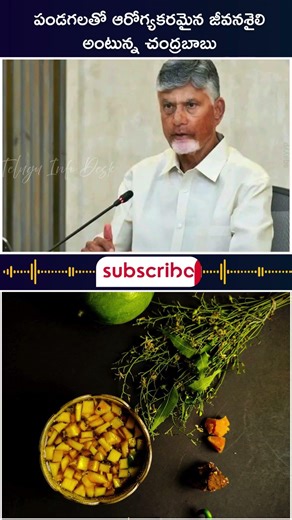 పండగలతో ఆరోగ్యకరమైన జీవనశైలి అంటున్న చంద్రబాబు