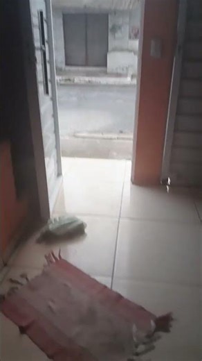 15 de março de 2026