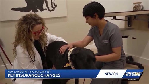 Pet insurance, patient overpayment refunds among new Florida laws to take effect on January 1, 2026