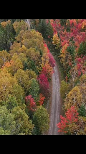 Short video of the foliage yesterday morning in the Moosehead Lake area #Maine | Laura Zamfirescu Photography