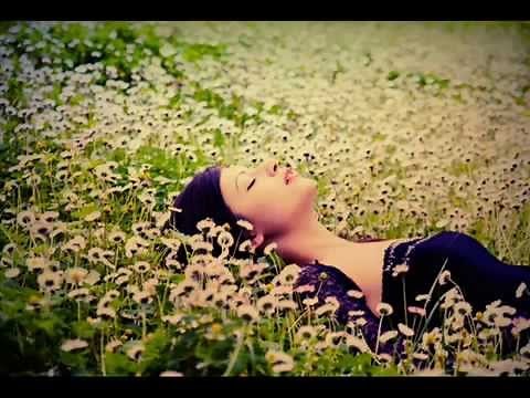 موسيقى صامته | mosi9a samita