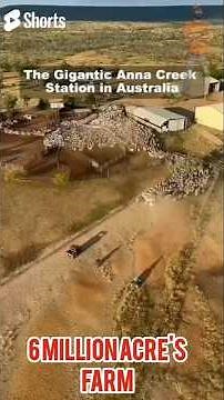 World’s Largest Cattle Station 🐂 | 6 Million Acres of Australian Outback Ranch 🇦🇺 #shorts