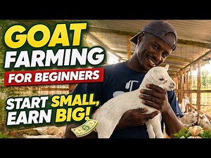 Goat Farming for Beginners – Start Small, Earn Big (Full Guide)