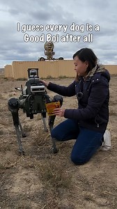 He's not just a Good Boi, he's also a dog of war 🐶 This robo-dog gives The Singapore Army a warfighting edge with its terrain confirmation and target identification capabilities. Maybe he can help our producer with target identification so she doesn’t get catfished by a dog anymore 🤔 More: go.defencepioneer.sg/xfs23_unmannedtech | PIONEER