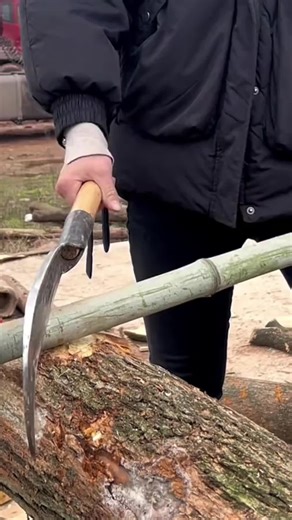 #Trending #tools and gadgets for him#work tools#garden tools#Gardening tool with balanced weight distribution—ideal for trimming branches, weeds, vines, and harvesting crops.