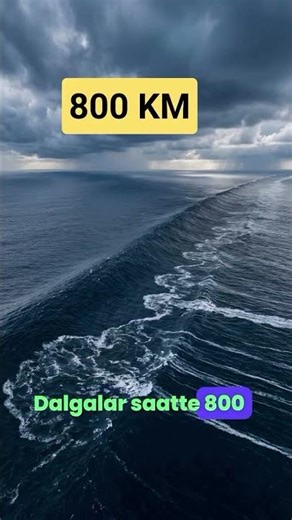 2004 yılında Hint Okyanusu’nda meydana gelen 9.1 büyüklüğündeki deprem... #shorts