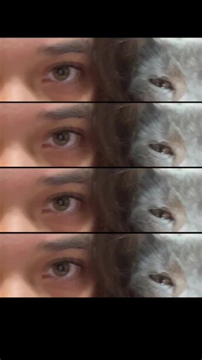 Videos de Lulu 💞 (@lulu.fft) con “original sound - ☆☆”