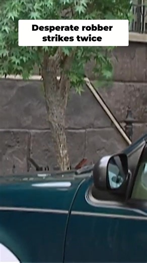 A bank robber brazenly robs another bank just hours after his first heist. Agents fear his increasingly desperate actions could have deadly consequences. Is he getting sloppy? #thefbifiles #truecrime #crimeinvestigation #forensicevidence #unsolvedmystery #bankrobbery #heist #fbi #criminalminds | The FBI Files