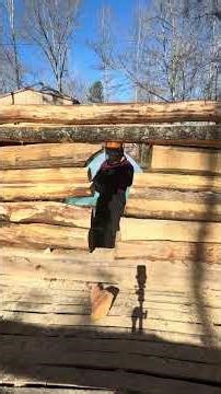 Viking Library 012: Cutting Circle Hobbit Door