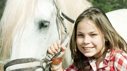 Horse Ownership For Beginners: Everything You Need To Know