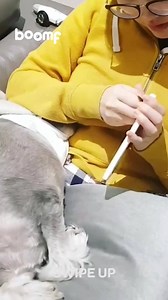 8.3K reactions · 2.7K shares | Start Valentine's Day with a bang 殺❤️ https://boomf.com/ #boomf #sendmorethanacard | boomf | Facebook