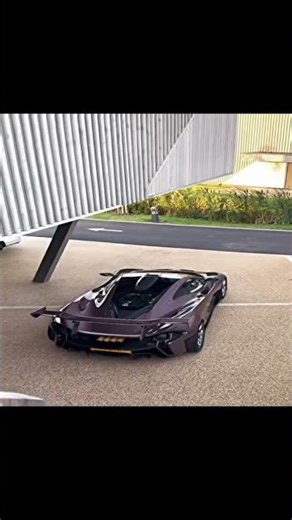 Idk what to put here-