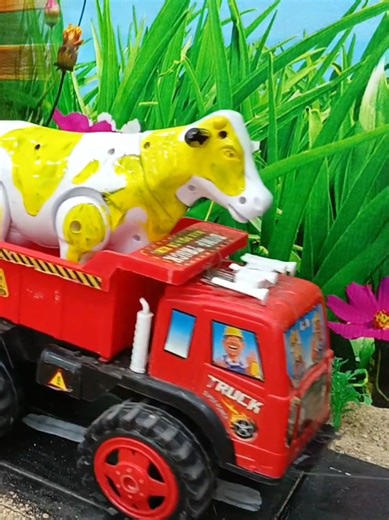 Proses Potong Sapi untuk Kurban yang Menarik