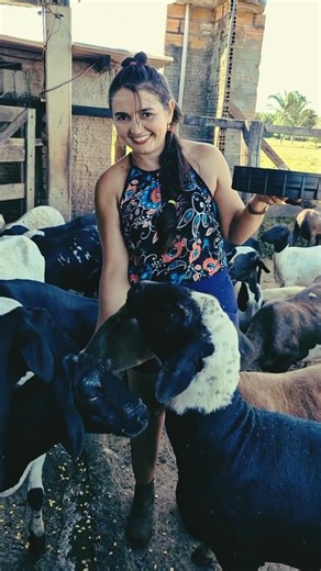 Goat feeding vlog on Saturday Part 3| Tatiane Dairy Farm | #goatfarm #thegoats #feedquality #feed