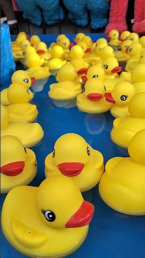 Sesame Street rubber ducky pond