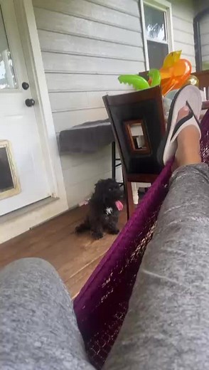 mi mano vejo 😄#viral #paratii