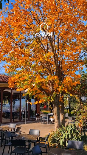#gjakova #restaurantoxygen #visitkosova #balkan #naturelovers #city | Oxygen Restaurant