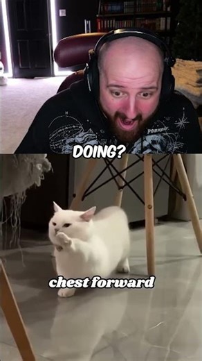 what the cat doin 😭