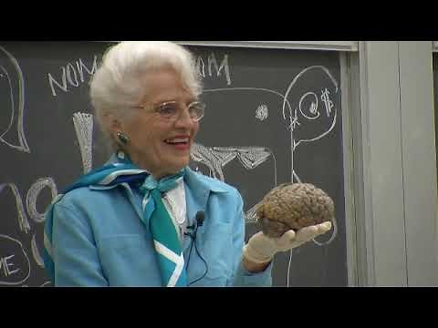 Marian Diamond on Building a Better Brain