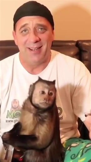 Monkey Tasty Snacks! #monkey #funny #tasty #snack