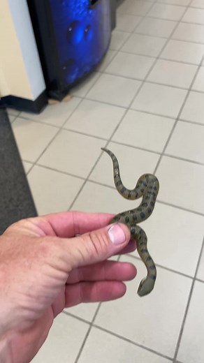 602K views · 1.6K reactions | Just leave it prank  #jokes #funny #scared | Jason the Great | Facebook