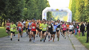 Course de Versailles : La Sueur royale