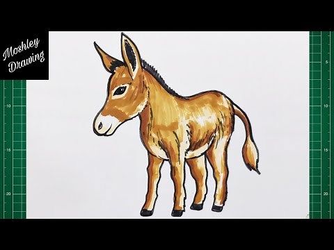How to Draw a Donkey