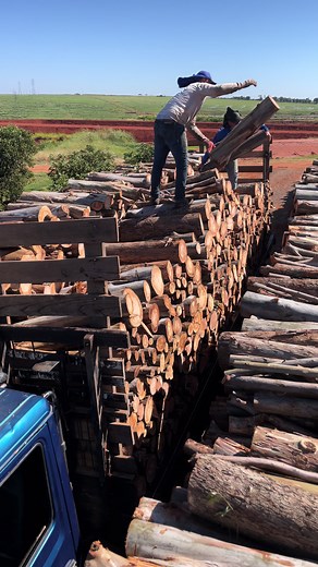 Transporting Wood Logs with Passion - Exciting Trucking Adventure