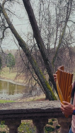 Titanic Flute Cover - My Heart Will Go On