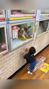 3.1M views · 69K reactions | funny and cuties dog (553)️‍♂️ #Fitness #NoExcuses #Workout #StayStrong #HealthyLife | Amazing Discoveries Shared | Facebook