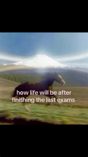 Life After Finals: First Days of Summer Freedom
