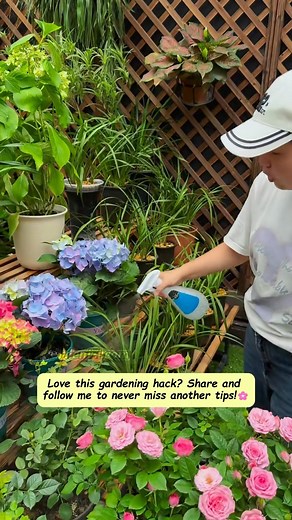🦠 If your plants are struggling with black spot, powdery mildew, downy mildew, gray mold, or dieback — don’t worry! Simple tricks can help bring them back to life 🌱 👉 Love easy plant care hacks? Share & follow for more tips! 🌸 #GardeningTips #PlantCare #GardenHacks #HealthyPlants #GardenLife | garden hack