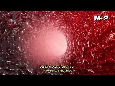 Combatiendo el cáncer: ¿Qué es y cómo funciona la quimioterapia?