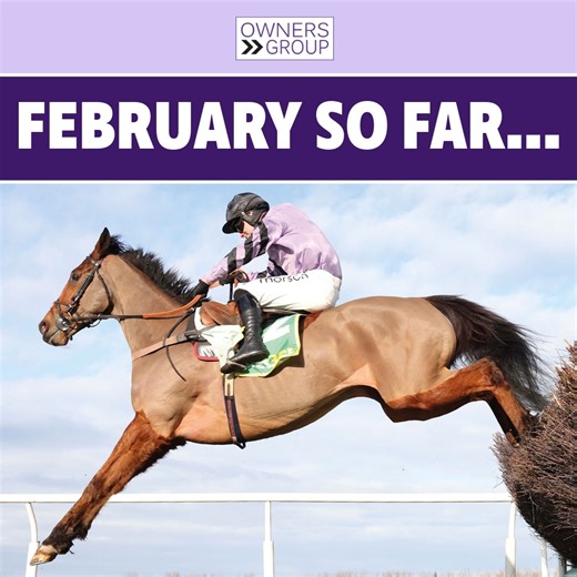 It's been a busy start to February for Owners Group… Six runners, two places, two wins and a new foal! It was a well-deserved first win for Sanditon at Chelmsford, and the talented Go West landed a valuable Chase for his owners, while Miranda was our first mare to foal this season, a gorgeous colt by Maxios. Congratulations to all of their owners 🎉 | Owners Group