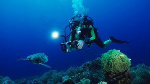 BBC’s 'Blue Planet' Is Back and It’s Better Than Ever