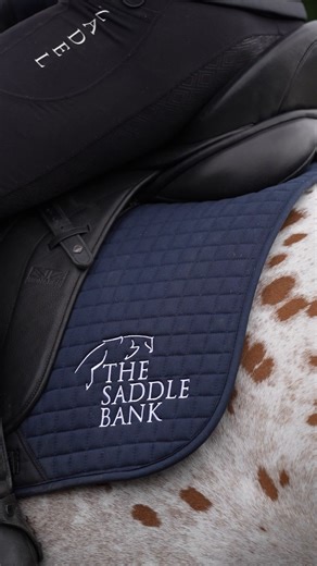 1.2K views |  Tack Up and Ride: GFS Monarch Apex Dressage Saddle...