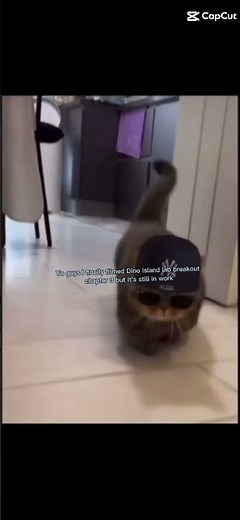 shoutout to ‪@FossilDillFR‬ btw