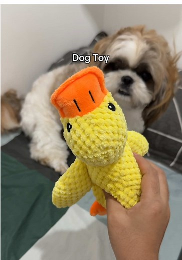 Top Plush Dog Toys That Make Fun Sounds
