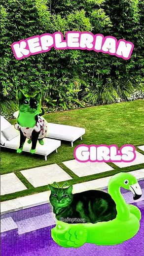 Gnarpy Singing California Girls