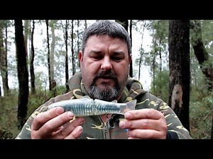 Murray cod lures explained