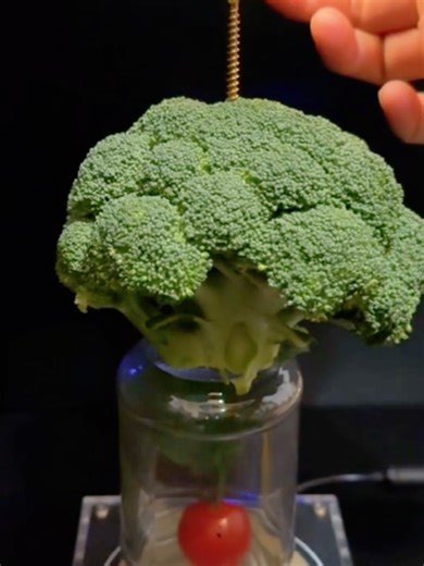 Exciting Science Experiment Part 277