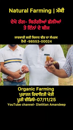 12K views · 528 reactions | Natural farming | ਰੰਗ ਬਿਰੰਗੀਆਂ ਛੱਲੀਆਂ ਤੇ ਇੰਨਾਂ ਦੇ ਬੀਜ | ਪੁਰਾਤਨ ਫਸਲਾਂ | Dt Amandeep Singh | Facebook