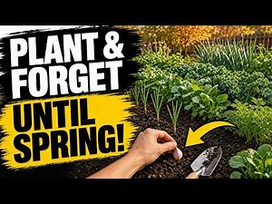 15 Fall Vegetables You MUST Plant and Forget Until Spring (Lazy Gardening)